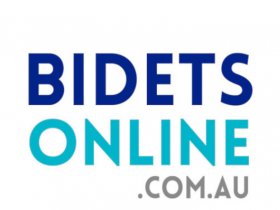 Bidets Online