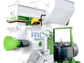 Biomass Pellet Making Plant