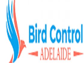 Bird Control Adelaide