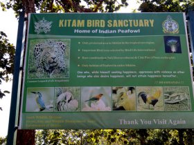 Birding Tour Operator in Sikkim