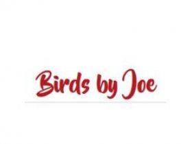Birds by Joe