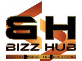 Bizz Hub