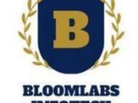 Bloomlabs Infotech