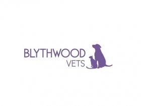 Blythwood Vets - Hatch End