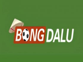 Bongdalu