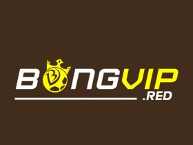 Bongvip