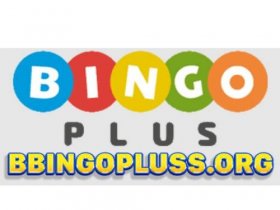 Bookmaker Bingoplus