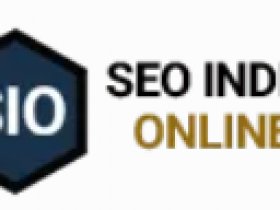 Boost your Business Website with SIO