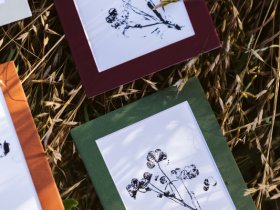 Botanical Monoprints Pastels