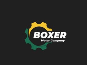 Boxer Motor Company Maidenhead
