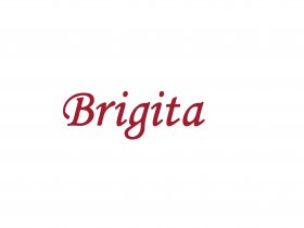 BRIGITA Blog | Leverage AI