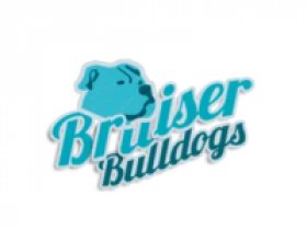 bruiser bulldogs
