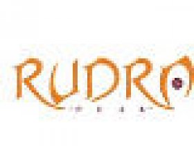 Buy 12 Mukhi Rudraksha