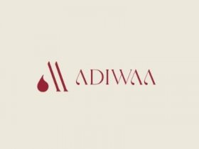 Buy Gowns Online India | Adiwaa.com