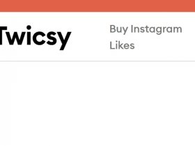 Buy Instagram Followers from Twicsy