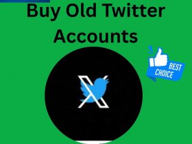 Buy Old Twitter Accounts