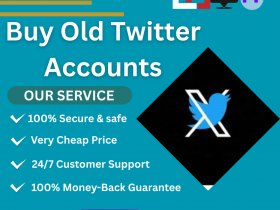 Buy Old Twitter Accounts