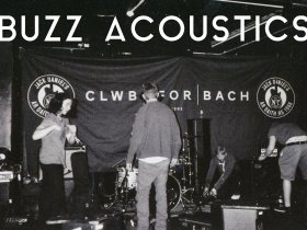 Buzz Acoustics