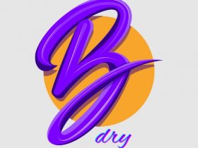 BWDry Basement Waterproofing