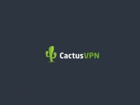 Cactus VPN, Inc.