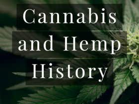 Cannabis History