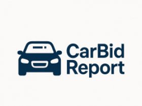 CarBidReport Copart IAAI Reports