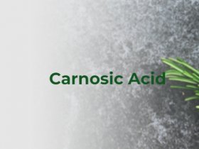 Carnosic Acid Suppliers