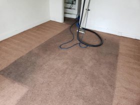 Carpet Cleaning Brisbane