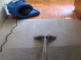 Carpet Cleaning Browns Plains
