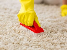 Carpet Cleaning Buderim