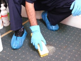Carpet cleaning Enfield