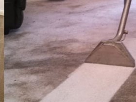 Carpet Cleaning Glebe