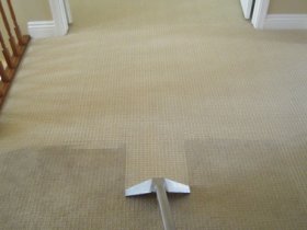 Carpet Cleaning Point cook