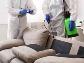 CBD Couch Cleaning Sunshine Coast