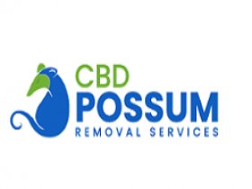 CBD Possum Removal Perth