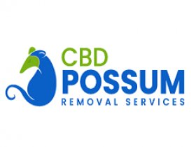 CBD Possum Removal Sydney