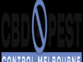 CBD Spider Control Melbourne