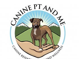 CCL tear in dogs