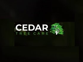 Cedar Tree Care
