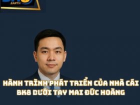 CEO BK8