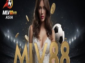 CEO MLV88
