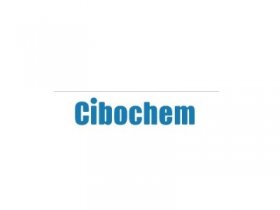 CIBOCHEM CORPORATION
