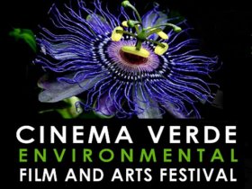 Cinema Verde 2014 Film Screenings