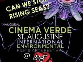 Cinema Verde St. Augustine 2016