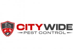 City Wide Bed Bug Control Sydney