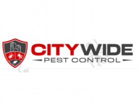 City Wide Rodent Control Sydney