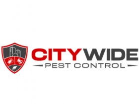 City Wide Wasp Removal Sydney
