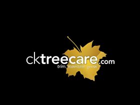 CK Tree Care