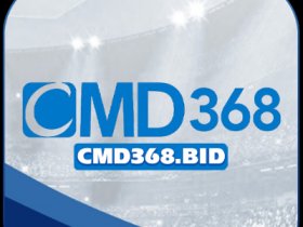 Cmd368
