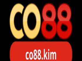 CO88